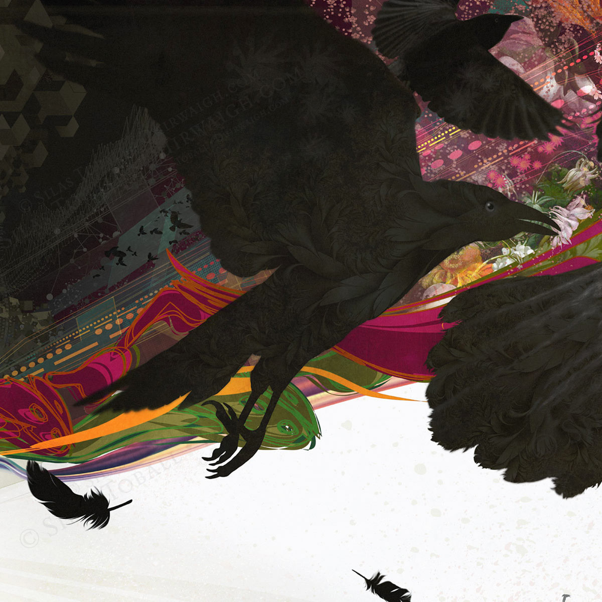 banksofeden_innerlpsleeve_w